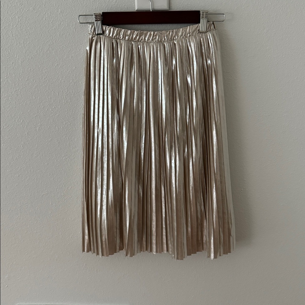 Zara Metallic Pleated Skirt